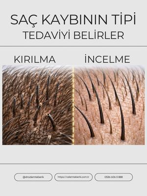 Image post by @drozlemteberik on Instagram