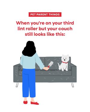Image post by @petsmart on Instagram