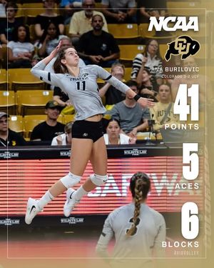 Image post by @avidvolley on Instagram