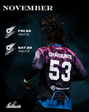 Image post by @stlouisambush on Instagram