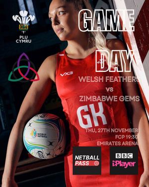 Image post by @walesnetball_ on Instagram