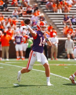 Image post by @cutigervision on Instagram