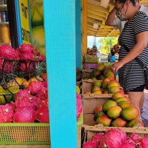 Image post by @no_fixed_addresses on Instagram