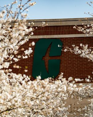 Image post by @charlotte_baseball on Instagram