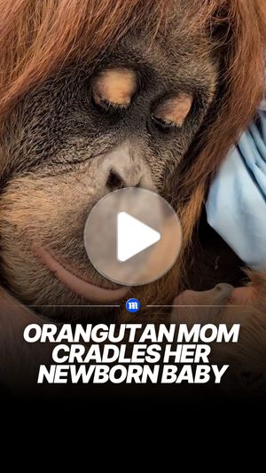 Image post by @dailymail on Instagram