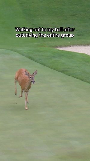 Video post by @livgolfleagueofficial on Facebook