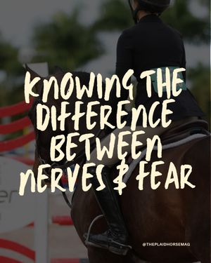 Image post by @theplaidhorsemag on Instagram