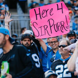 Image post by @sirpurr on Instagram