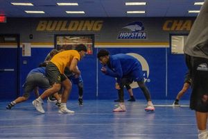 Image post by @hofstrawrest on Instagram