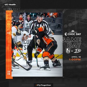 Image post by @anaheimducks on Instagram
