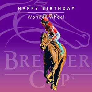 Image post by @breederscup on Instagram
