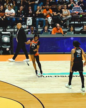 Image post by @ConnecticutSun on Twitter