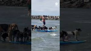 Video post by @ABC News on YouTube