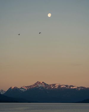 Image post by @makennamphotography on Instagram