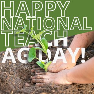 Image post by @txextension on Instagram