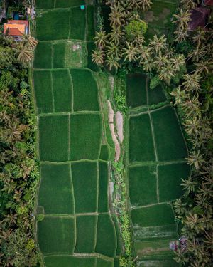 Image post by @slocated on Instagram