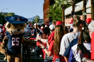 Image post by @azwilburwildcat on Instagram