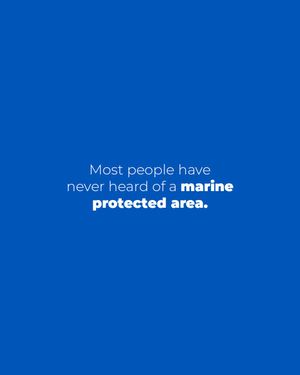 Image post by @4ocean on Instagram