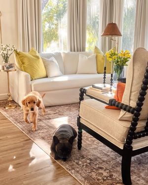 Video post by @wayfair on TikTok