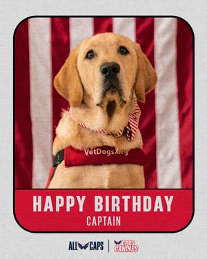 Image post by @capitals on Instagram