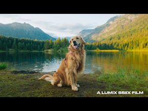 Video post by @LumixUSA on YouTube
