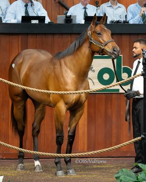Image post by @thoroughbred_daily_news on Instagram