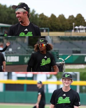 Image post by @usfbaseball on Instagram