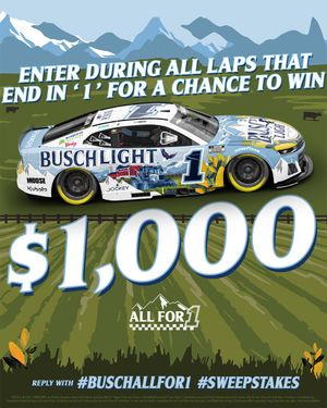 Image post by @BuschBeer on Twitter