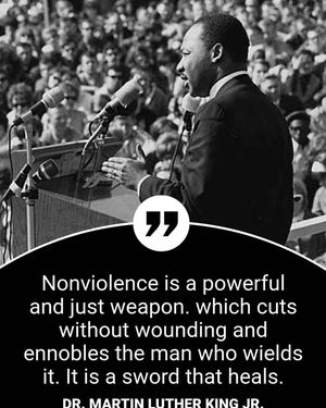 Image post by @hofstra4all on Instagram