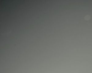 Image post by @nicholas_niforatos on Instagram