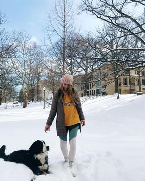 Image post by @rachelbeeman on Instagram