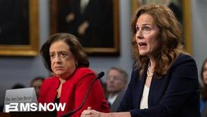 Video post by @msnbc on YouTube