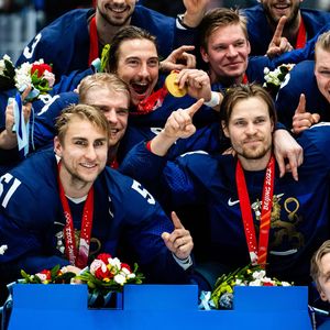 Image post by @leijonatfi on Instagram