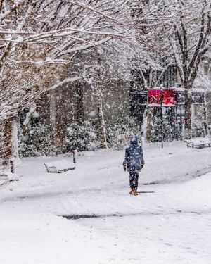 Image post by @northeastern on Instagram