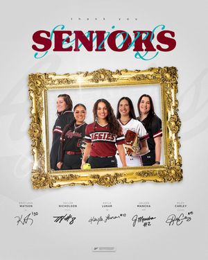 Image post by @nmstatesoftball on Instagram