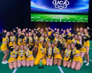 Image post by @nkucheer on Instagram