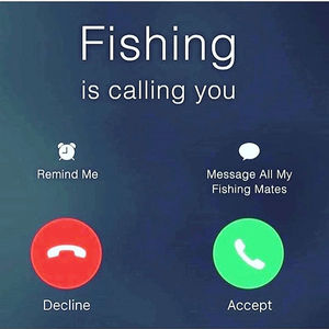 Image post by @alfredogh81 on Instagram