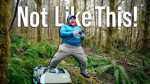 Video post by @danfox on YouTube