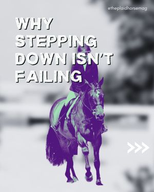Image post by @theplaidhorsemag on Instagram