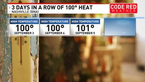 Image post by @foxnashville on Instagram