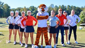 Image post by @aubiethetiger01 on Instagram