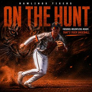 Image post by @rawlingstigers on Instagram