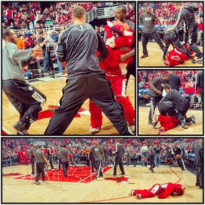 Image post by @bennythebull on Instagram