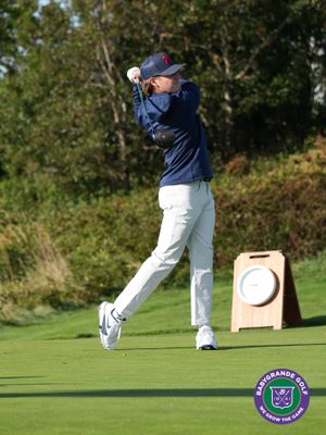 Image post by @babygrandegolf on Instagram