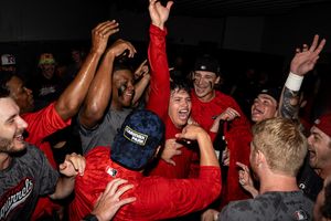 Image post by @gosquirrels on Instagram