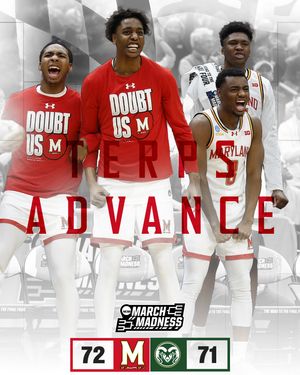 Image post by @terrapinhoops on Instagram