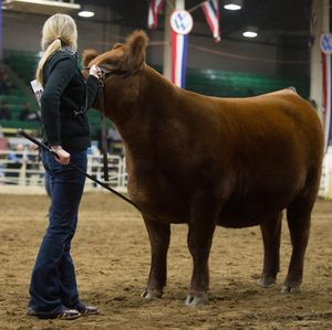 Image post by @nationalwestern on Instagram