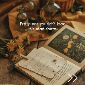 Image post by @leafyaffair on Instagram