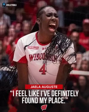 Image post by @ncaavolleyball on Instagram
