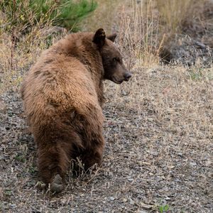 Image post by @trevorfarnes on Instagram